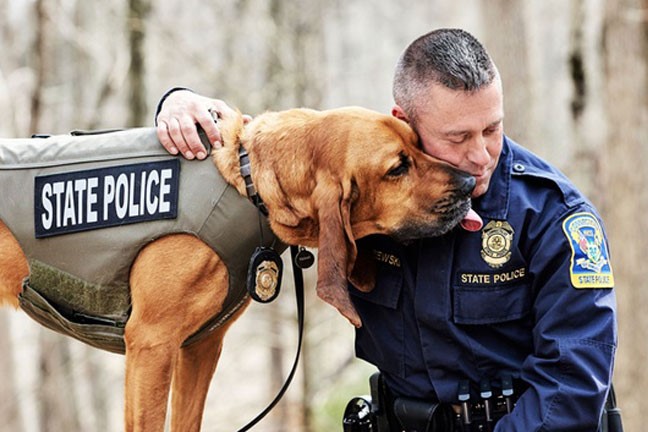 Image of a bloodhound with a service vest on cuddling with his police officer handler
