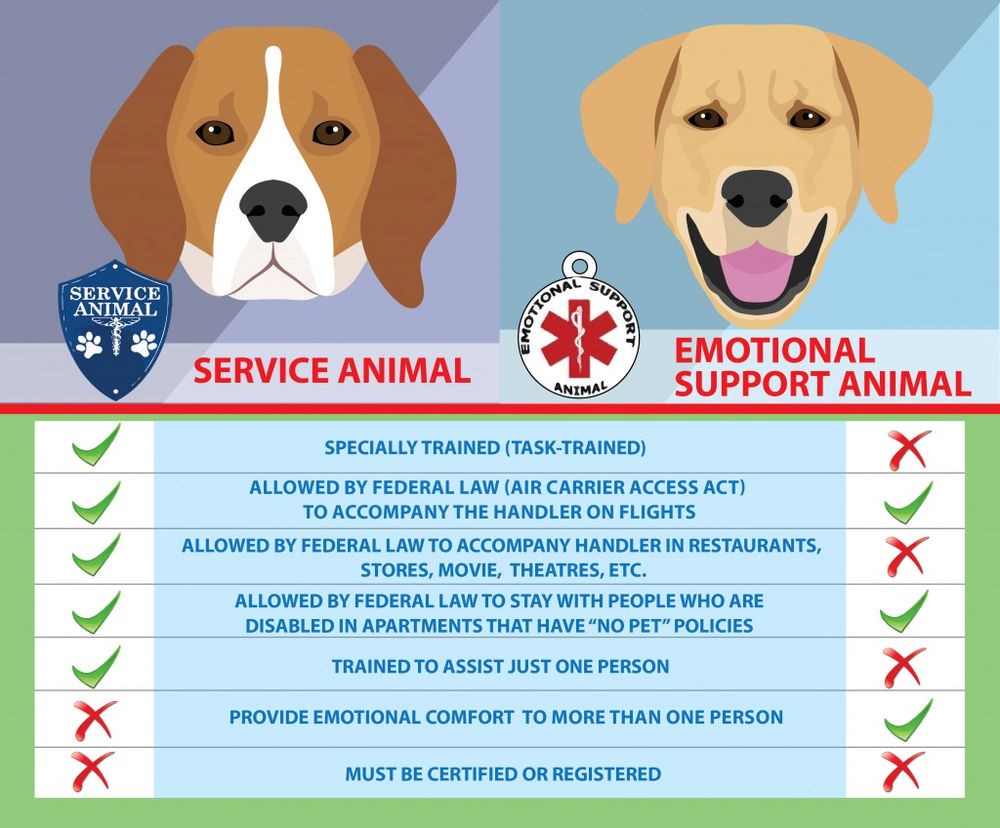 Service Animal versus Emotional Support Animal Specially Trained - checked off for service animal not checked off for Emotional Support Animal, Allowed by Federal Law (Air Carrier Access Act) to accompany handler on flights - checked off for Service animal, checked off for emotional support animal, Allowed by Federal Law to accompany handler in restaurants, stores, movie theatres, etc - checked off for Service Animal, not checked off for Emotional support animal; Allowed by federal law to stay with people who are disabled in apartments that have "no pet" policies - checked off for both service animal and emotional support animal, trained to assist just one person - checked off for service animal not checked off for emotional support animal, provide emotional comfort to more than one person - not checked off for service animal, checked off for emotional support animal, Must be certified or Registered - not checked off for either service animal or emotional support animal