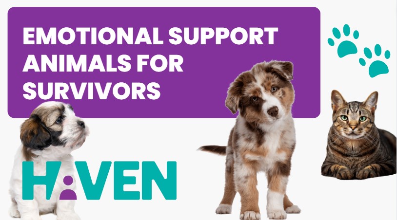 Read more about the article Emotional Support Animals for Survivors