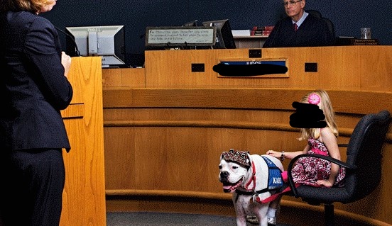 Image of a dog sitting with a small girl in a black chair, she is reaching out and petting him, it looks like they are sitting up on a witness stand in a courthouse